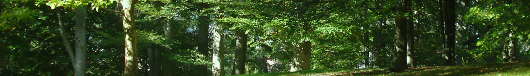 Chat space live gay vibrator sex talk me through it